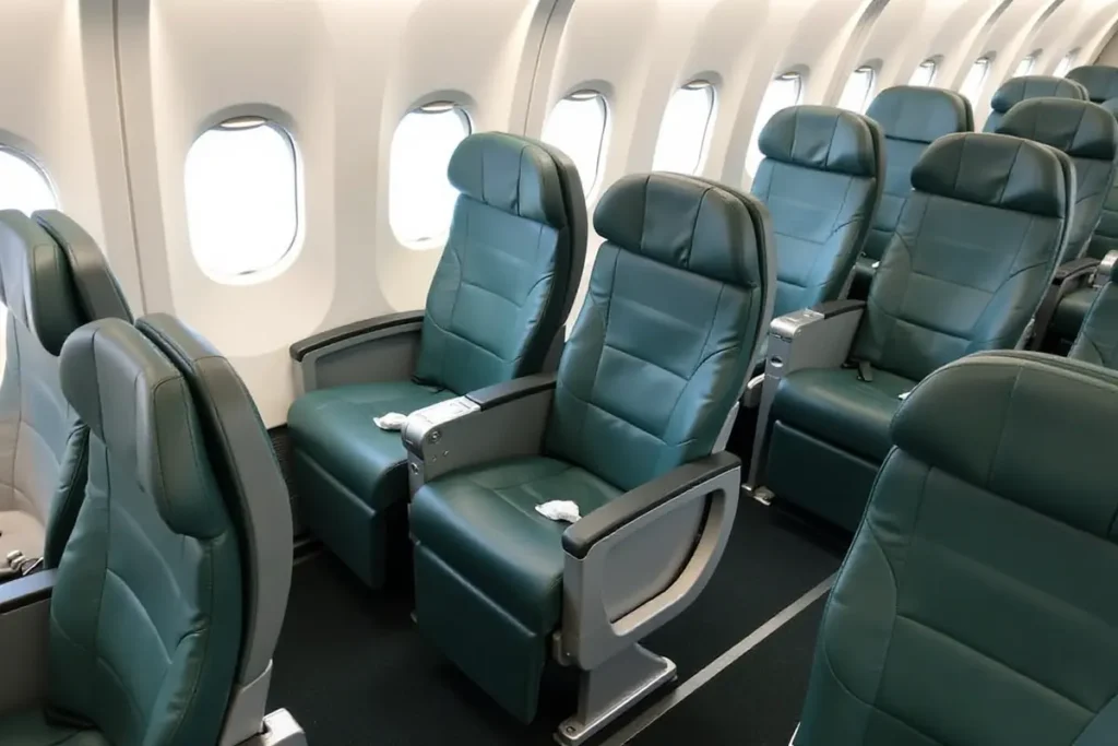 Aer lingus Seat and Cabin